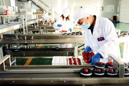 鄂爾多斯 建設(shè)農(nóng)副產(chǎn)品電商服務(wù)中心，賦能養(yǎng)生保健服務(wù)新生態(tài)